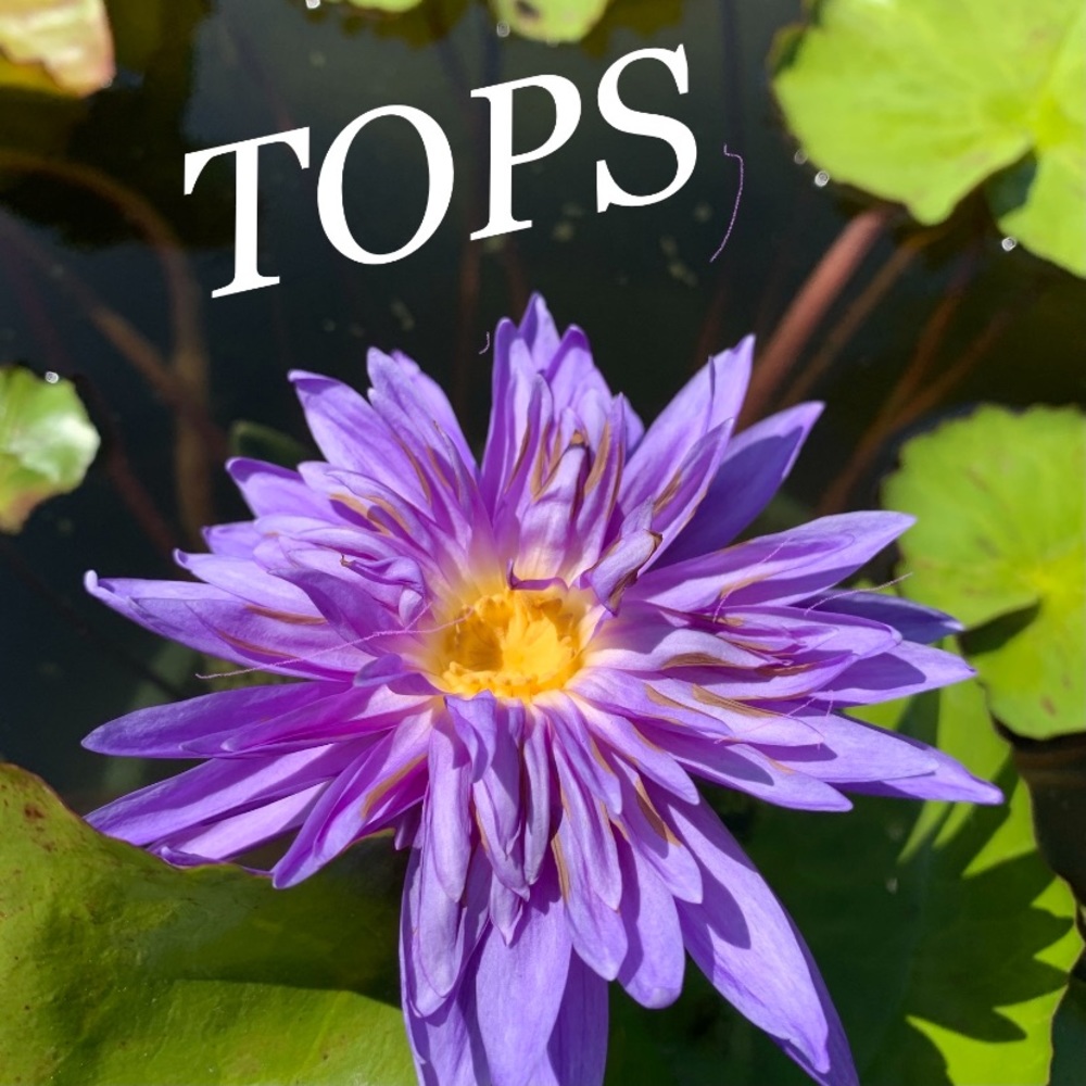Tops